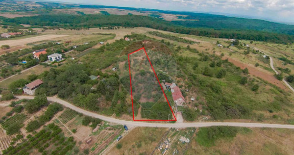 De vânzare Teren 3995mp intravilan Săldabagiu de Munte