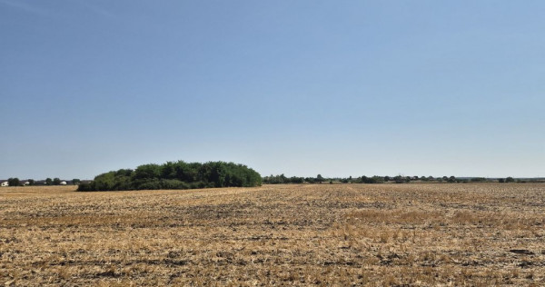 Teren intravilan 4428 mp - Balotesti