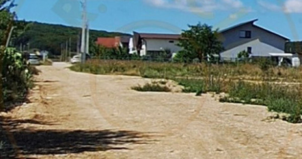 Teren 500 mp intravilan Smeura Stoenari - 4 loturi