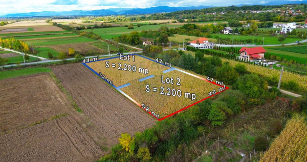 Lot de Teren Intravilan de Vanzare sau Parcela intreaga