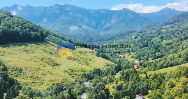 TEREN Izvoru Muntelui, langa orasul BICAZ