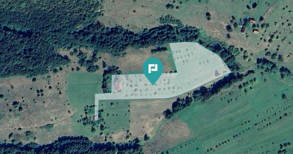 Teren de 92294 in Halmagiu