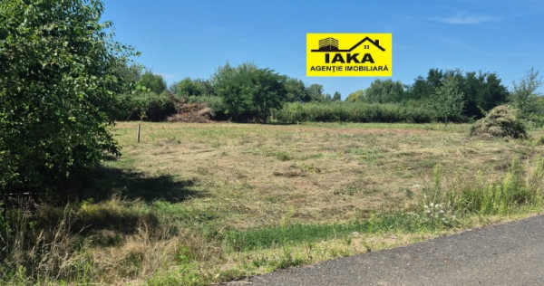 Merisor, 30 ari teren parcelabil