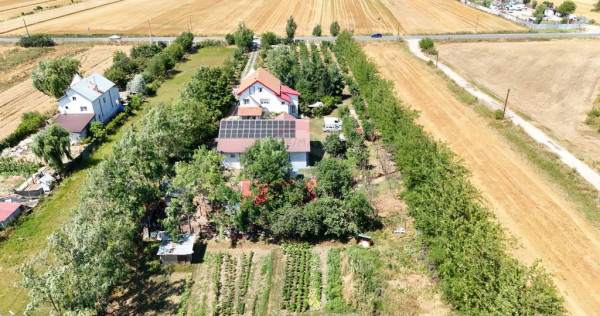 Casa+Laborator+ Teren 12.700 mp + casa de vacanta - Bolin...