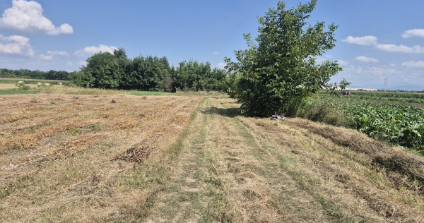 Teren de vanzare cu utilitati Stupini- COMISION 0%