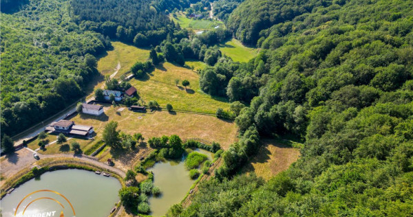 FILM! Teren extravilan pe 2.737mp,zona pretioasa,acces facil