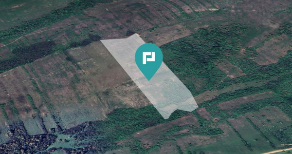 Teren arabil de 11,3 hectare în Bara, Timiș