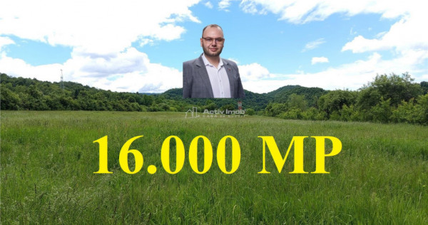 Borlovenii Noi, Teren Drept, 16000mp, la Limita Localitatii