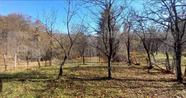 Oportunitate de investiție agricolă – Teren extravilan d