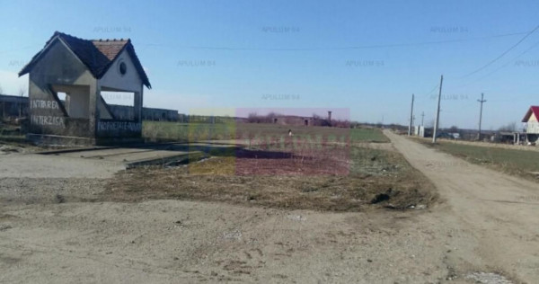 Teren Balotesti- Saftica