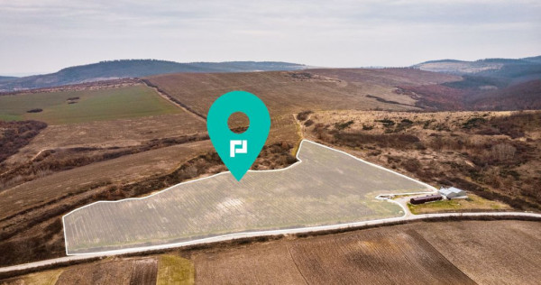 Vie de 115 Hectare în satul Dud, județul Arad