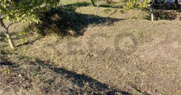 Reco Teren intravilan zona exclusivista 866 mp Gheorge Doja