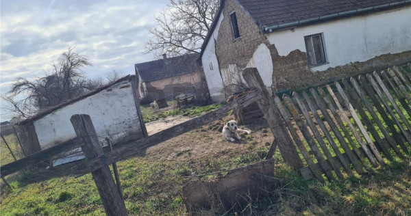 RECO Casa in Ungaria cu teren generos