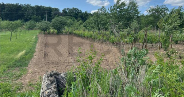 RECO TEREN CU FUNDATIE IN PETREU