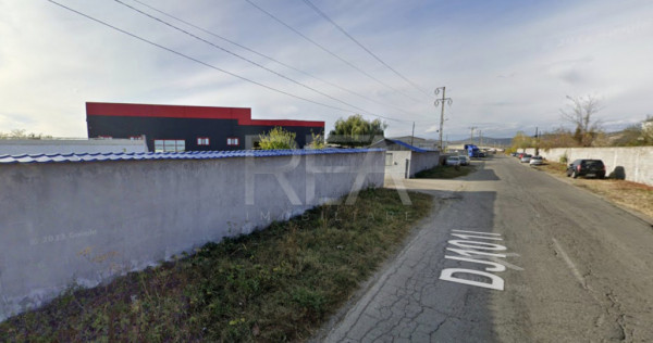 HALA FILIPESTII DE PADURE - complet echipată, pregătită p