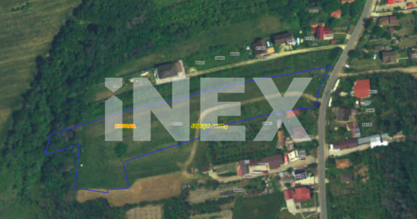 Teren de vânzare – comuna Mosoaia, zona Hintesti