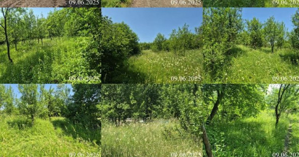 Teren extravilan, loc. Bobohalma, jud. Mures