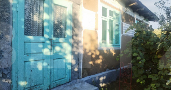 Casă tradițională cu teren generos &ndash; Brăești, Botoșa