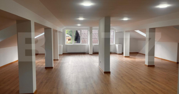 Spațiu comercial cu multiple destinatii, 195 mp, Bistrita