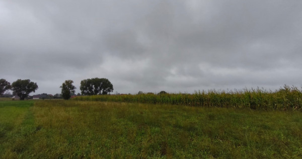 Teren intravilan, 5200mp, front 27ml, Fratautii Vechi, Radau