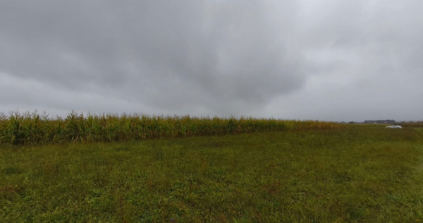 Teren intravilan, 5200mp, front 27ml, Fratautii Vechi, Radau