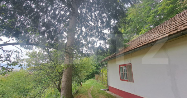 Casă de v&acirc;nzare &ndash; Colonia 1 Mai 65.000 EURO