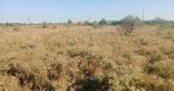 Targu Neamt, Punct Manesti, cota parte 1/2, ID: R2759107