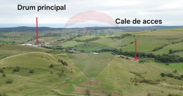 Teren de vanzare, 65 hectare - Agnita