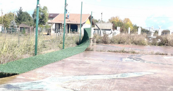 Gagu Dascalu teren ideal pentru investitie zona in dezvol...