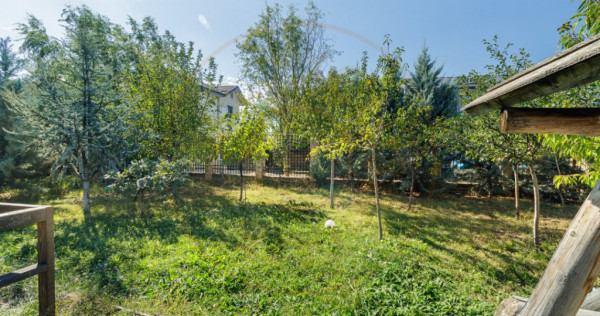 Teren intre case Bragadiru