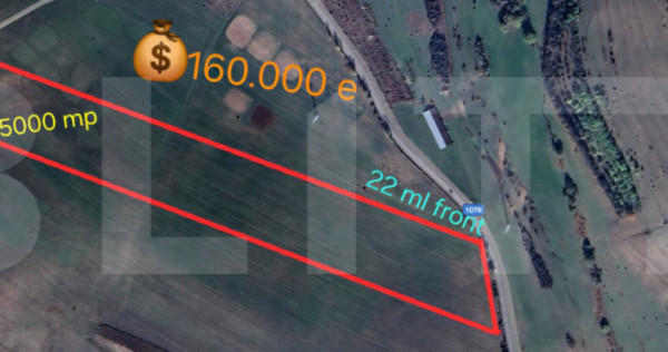 Teren de investitie in localitatea Ciurila