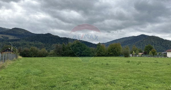 Teren 1,023mp Vadurele (Alexandru cel Bun) / Strada Steja...