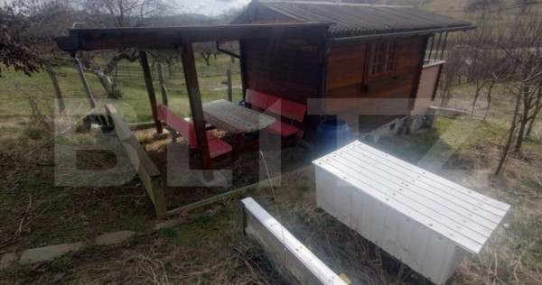 Teren 300 mp + Cabana,zona Livezile,Valea Lunga