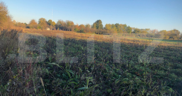 Casa bătrânească, 1500 mp teren, comuna Pomi