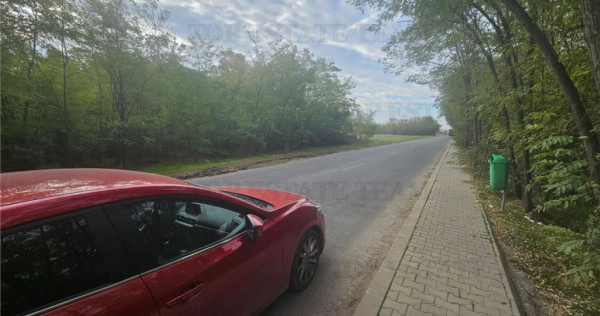 Teren 7500mp in liziera padurii in Dragomiresti-Deal