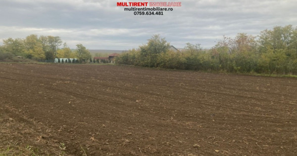 Teren cu casa de vanzare in Randunica (Mihail Kogalniceanu) Tulcea!