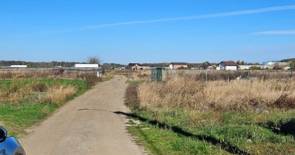 Teren Comuna 1 Decembrie str. Tuberozelor 733mp