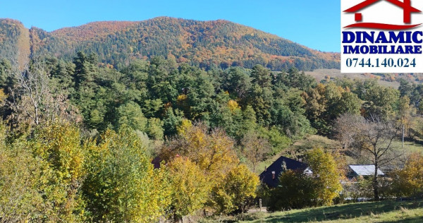 3600 mp teren intravilan, sat Bistrita, 16 Euro/mp