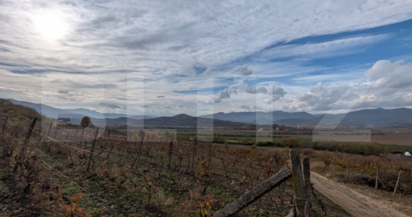 Teren pretabil pentru cabana, cu view