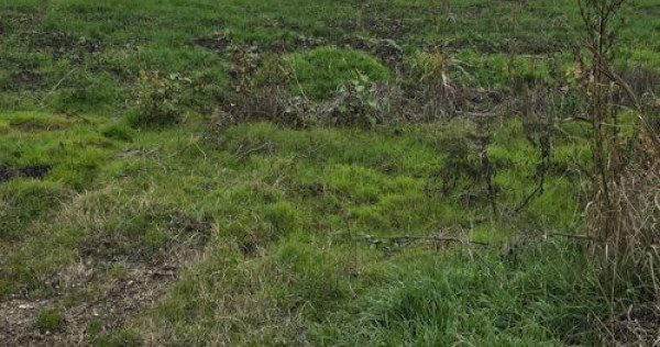 1 DECEMBRIE - TEREN 2500 MP