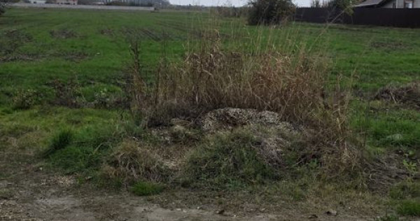 1 DECEMBRIE - TEREN 2500 MP