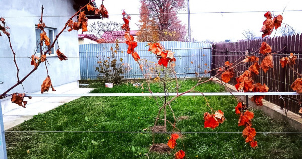 Casa in Mitocul Dragomirnei