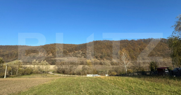 Teren extravilan 2700mp in Carjiti