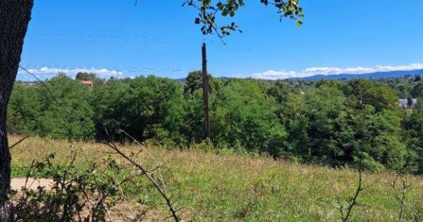 Teren intravilan în spatele Spitalului Județean Reșița 4647mp