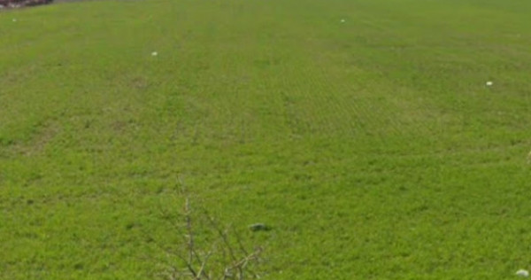 Teren industrial &ndash; 7.589 mp, Ghercești