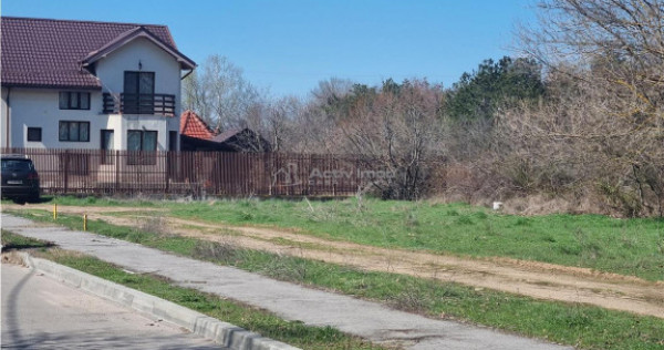 Loturi teren zona SERE Alexandria si Nanov