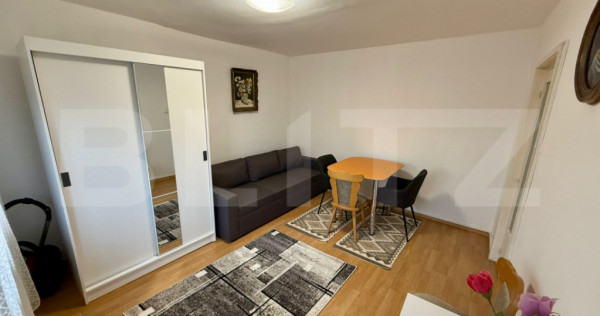 Garsoniera, 36 mp, zona Brazda