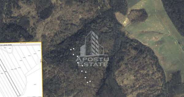 Teren Cuied – Livada 5400 mp