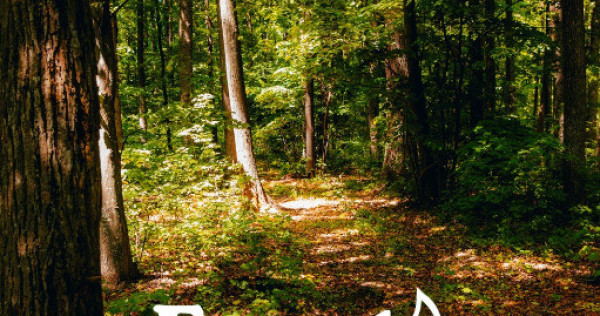 Loturi de casă 720 - 900 mp, langă Pădure &icirc;n eForest, acces asfaltat