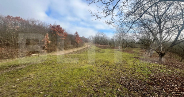 Teren extravilan, 4 hectare, langa livada de mere Ghinda